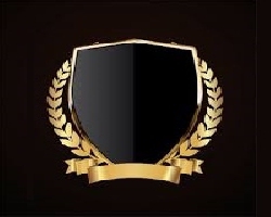  GENERICA